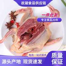 新鲜富硒乳鸽冰鲜急冻鸽子批发现杀生鲜乳鸽子肉活体阜平硒鸽