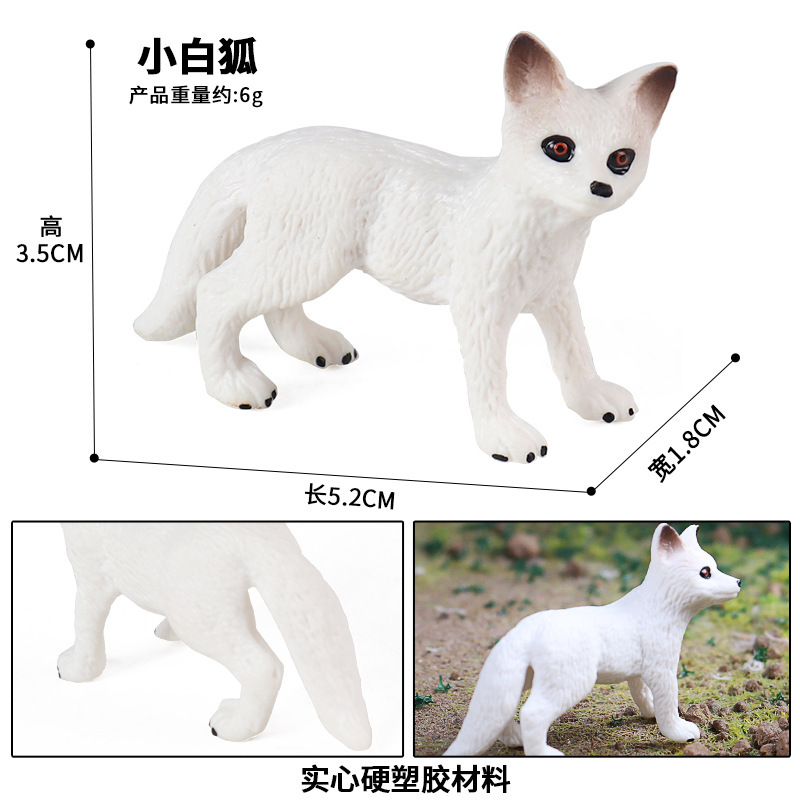 KZ2070 작은 흰 여우