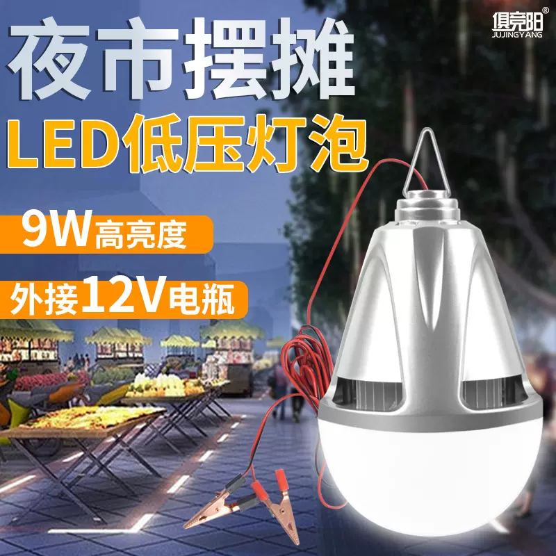 12V电瓶灯泡节能摆摊地摊夜市灯船用电动车专用低压直流LED灯泡