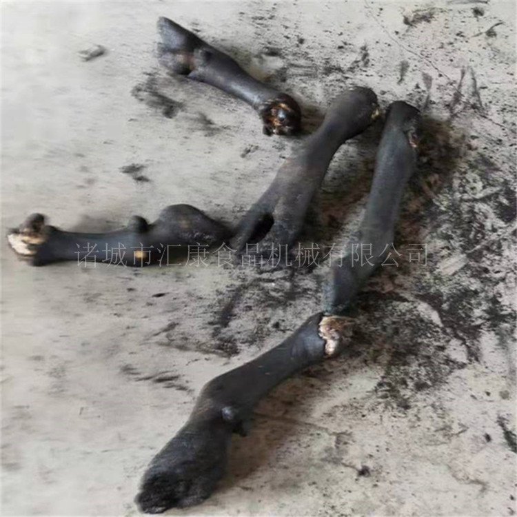 汇康机械猪蹄 猪头耐高温网带液化气烧毛机, 自动点火 火焰可调