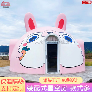 Outdoor Spherical Internet-Famous Starry Sky House Homestay Prefabricated Modular Assembly Bubble House Camping Homestay House