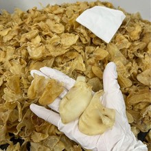 ��ȻСʯ���~�z С���~�z �u���z �~�z С���z �~�z ���z ʯ��