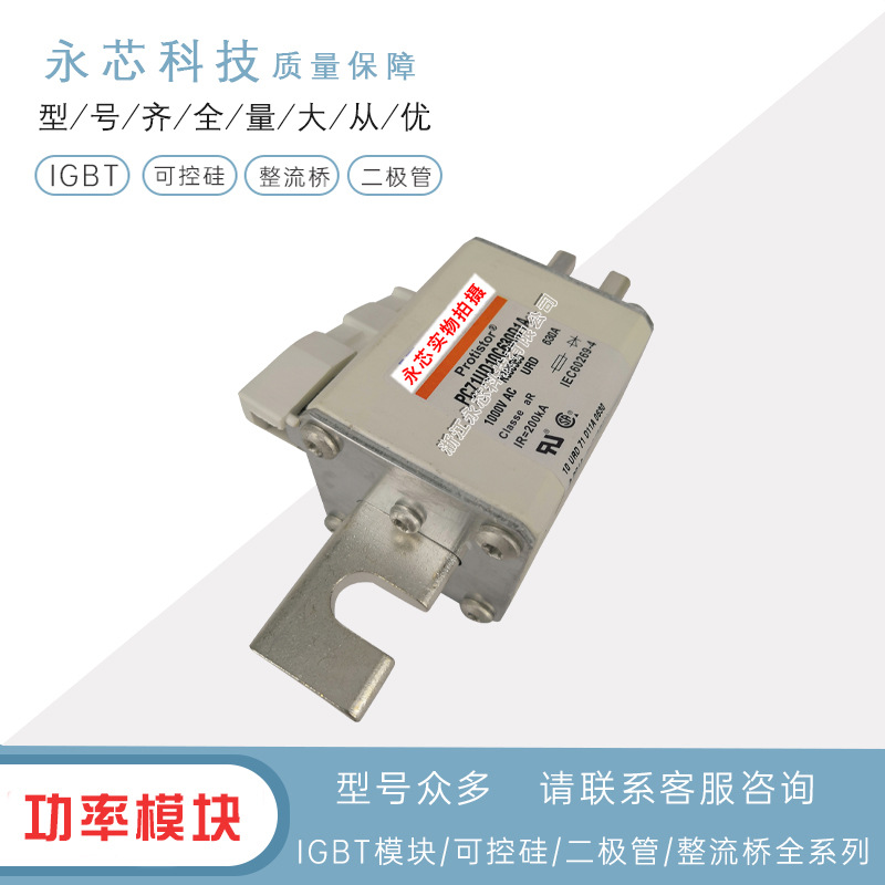 原装进口PC71GB69V450PA	C301256双连体熔断器快速保险丝全新供应