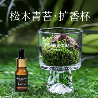 松木青苔无火香薰 小清新香薰伴手礼天然植物扩香杯家居卧室摆件