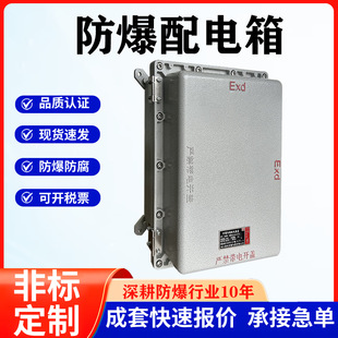 Factory Direct Sales Explosion-Proof Distribution Box Terminal Button Power Wiring Dust Explosion-Proof Power Lighting Maintenance Stainless Steel