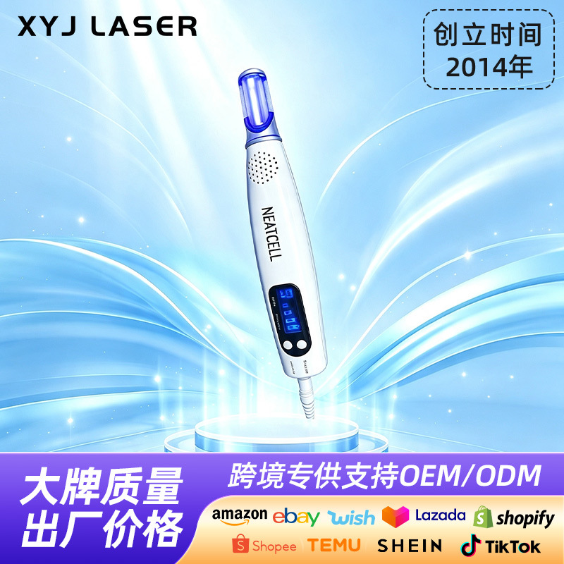 Handheld Picosecond Pen Laser Acne Removal Device, Tattoo Removal and Spot Scanning Blue Light Picosecond Portable Small Picosecond Beauty Device