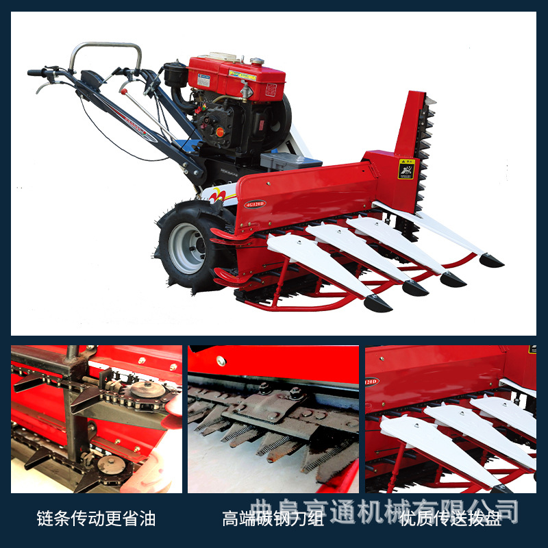 uLIL5Asf5zZyQF9rOek8RBAFxb8.jp