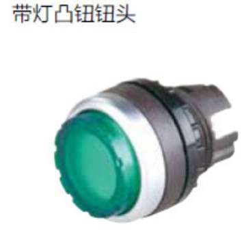 供应TAYEE 上海天逸φ22带灯自锁凸钮按钮LA42TSD-01/AC220V G