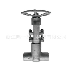 �䓸߉����ܷ��l�y 2500LB�߉����Ծoʽ�ԉ��ܷ�в庸�l�y ֱ�N