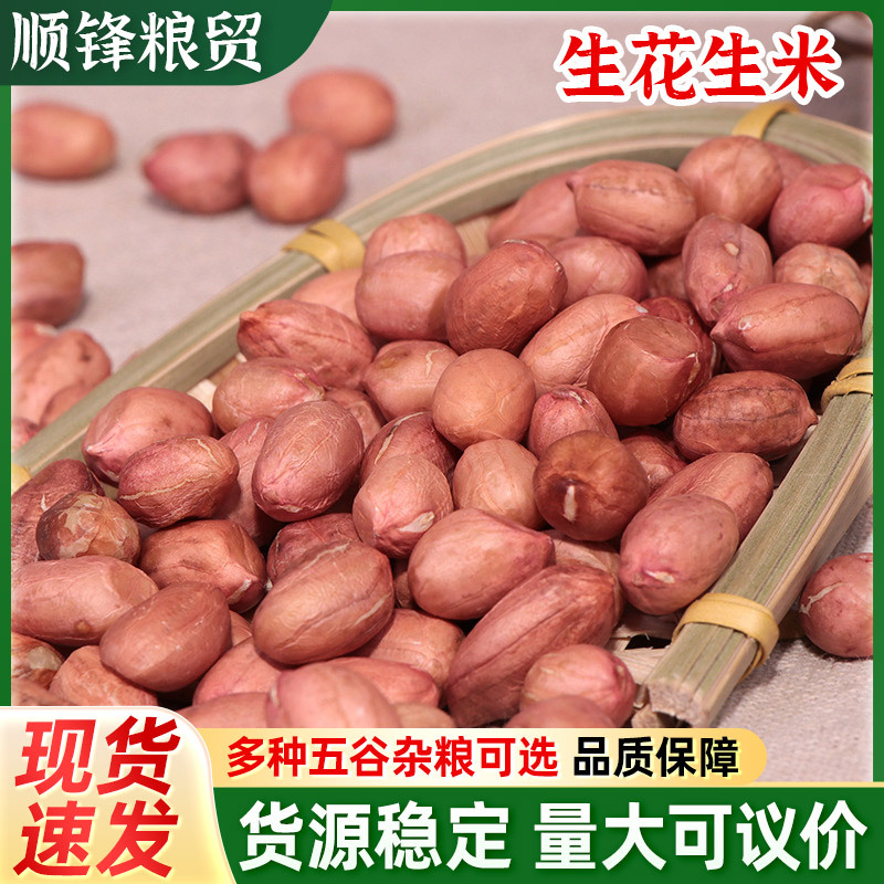 生花生米产地直供 现货大白沙小白沙 榨煮食品榨油原料散装