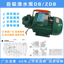 ������ˮ����ѹ������ũ�ù�ȹ�ҵѹ�綯����DB/ZDB/