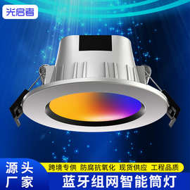 rgb补光灯led嵌入式天花灯蓝牙APP遥控语音吸顶RGB变色调光家用