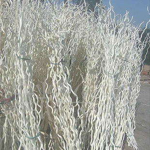 ��ɣ �������������~��֧���l �ט�֦�ɘ�֦�ɻ��[���b��s�r��