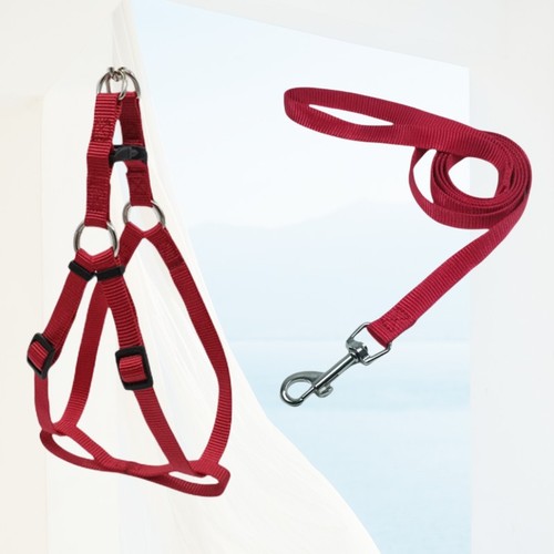 Factory-direct pet supplies: Vest-style pet leash—dog and cat walking rope, cat & dog harness, dog chain