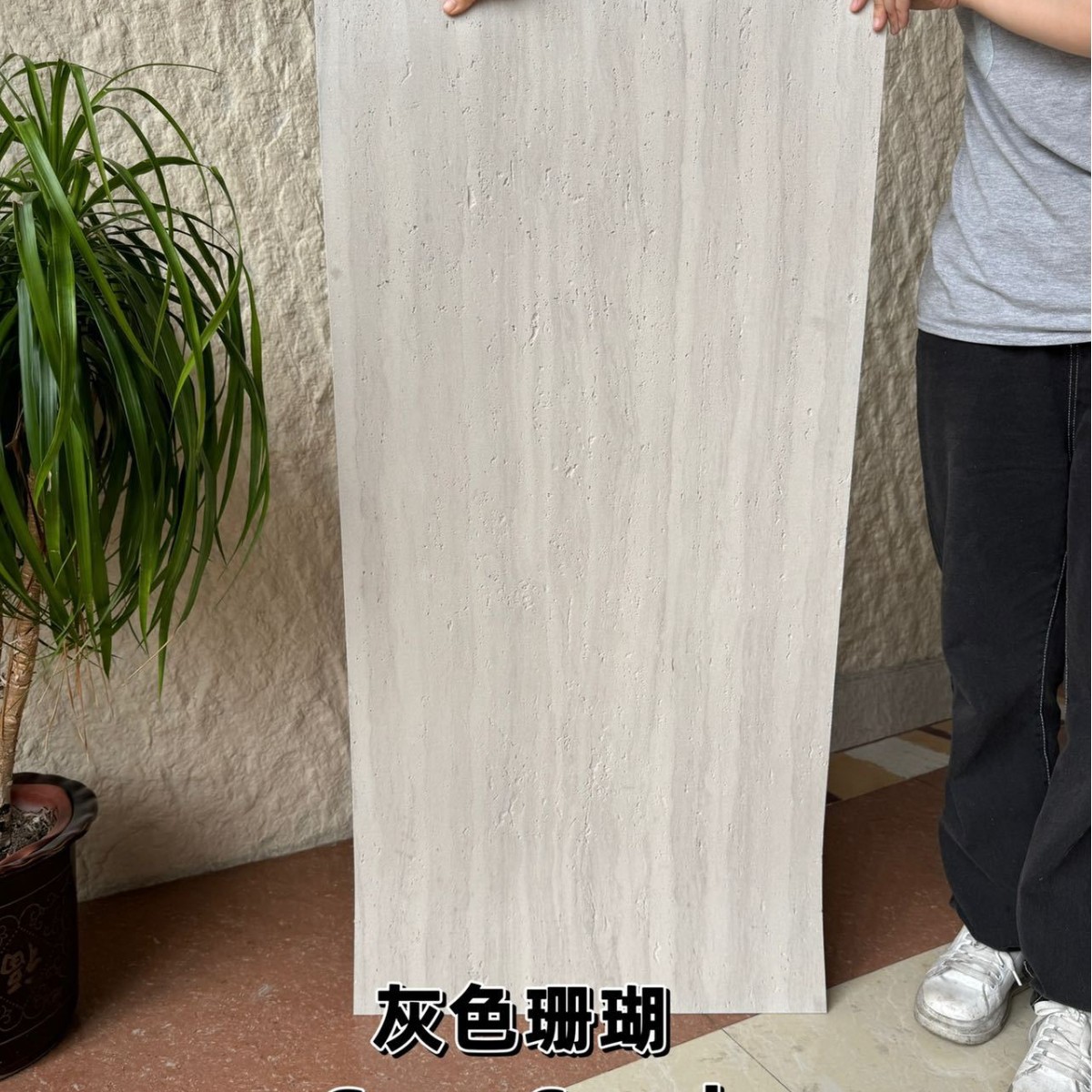 3D 석회화 1200*600 그레이 코랄