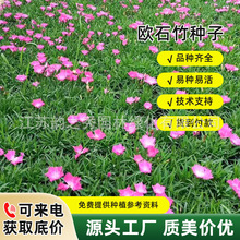 WʯNӲƺ绨ѻ玧ԵرֲͥԺ̨_ƺ