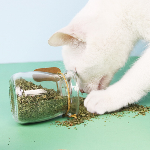 Cat mint bottled crushed leaves promote digestion and eliminate hair balls mint powder cat snacks manufacturer cat snacks wholesale