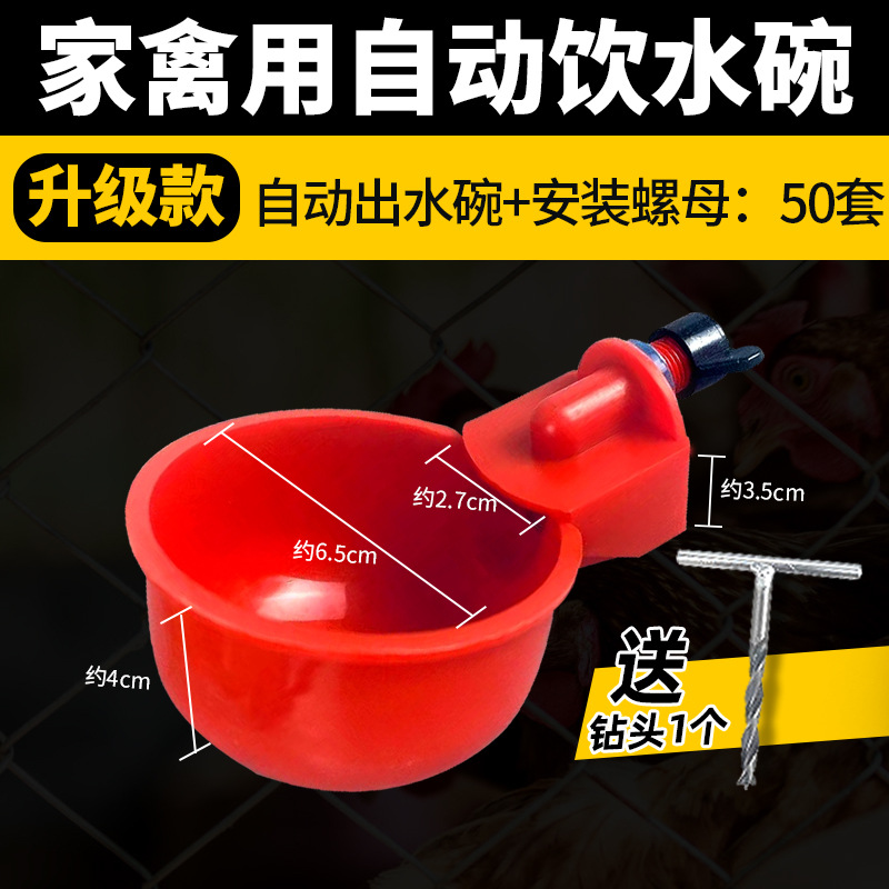 Bebedero automático para criar pollos, pollo, pato, ganso, cuenco de agua, paloma, cuenco de agua, codorniz, aves, aves, pollitos, artefacto de alimentación de agua