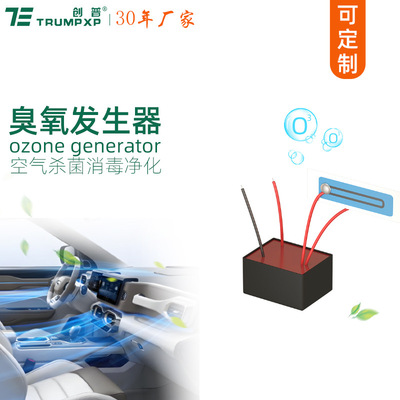 创普TRUMPXP汽车空气净化系统杀菌消毒小型臭氧发生器DC12V模块