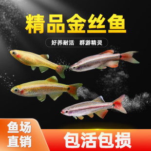 ��녽�z�~�~����ˮ�^�p�~С�~�~�׵�ˮ���B�ͻ����~ԭ���~�����~