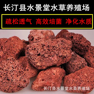 Free Shipping Volcanic Stone for Horticultural Fleshy Plants Volcanic Stone Fish Tank Aquarium Filter Material Grass Tank Landscaping Porous Volcanic Stone