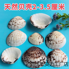 ��Ȼؐ����������ؐ����ؐ�Ҿ��~��ˮ�����쾰DIY�ֹ�ؐ��