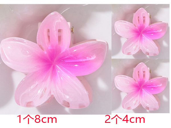 跨境新款鸡蛋花发夹网红花朵抓夹套装发卡女高级感鲨鱼夹发饰批发|undefined