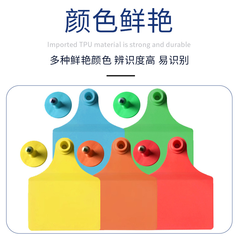 TPU etiqueta de oreja dividida de vaca vaca grande etiqueta de oreja de vaca pequeña etiqueta de oreja de vaca grande y pequeña etiqueta de oreja dividida marca de oreja de vaca