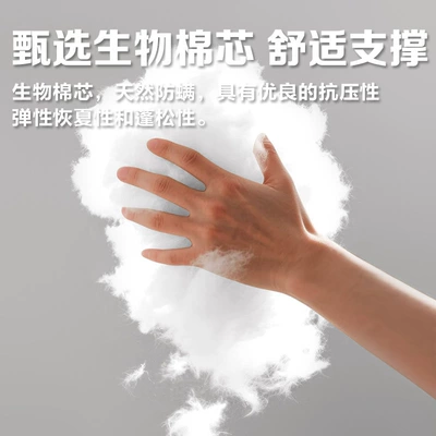 for Chery Fengyun A9L T11 | Headrest