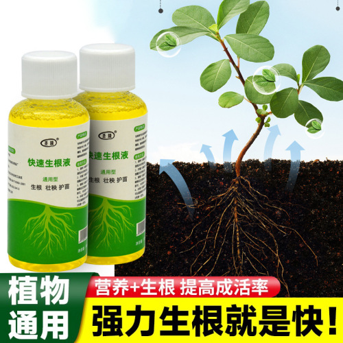 Plant rapid rooting liquid, growth agent, seedling rooting powder, nutrient solution, cutting, transplanting, rooting water, strong growth