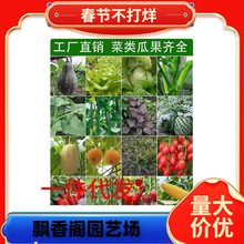 �߲˷N���ļ������Է����S�������������ݴ�ȫ�K��������＾ˮ��