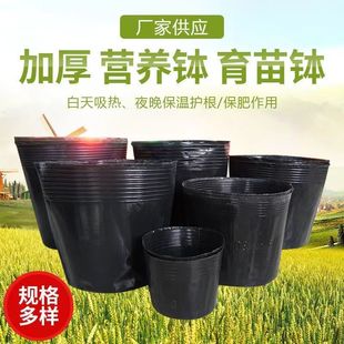 ���ϻ�������������籭һ���ԼӺ��b����ֲ̖��Nֲ���I�B�����l