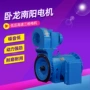 卧龙南阳异步低压线圈