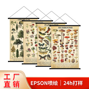 ���R�d���N�͹ź�����ˇ�g�쮋 ���L������о ���ҿ͏d�����b�
