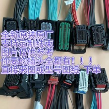 ECU控制器系统汽车电脑板插头接插件线束连接器博士泰科德尔福住