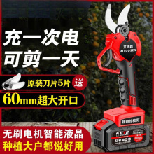 电剪刀电动修枝剪果树粗枝大剪刀充电式无线锂电园艺树枝电剪