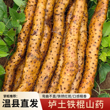 河南焦作温县垆土铁棍山药新鲜怀山药现挖3斤5斤口感糯香铁棍山药