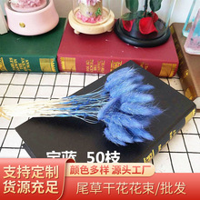 �S�����l��β�ݸɻ������YƷ����Ļ����˹��}�Q��DIY50֦