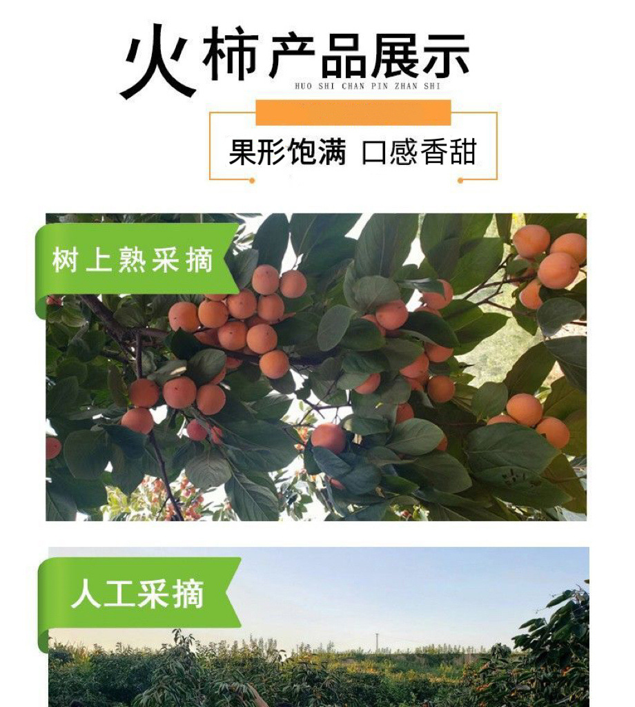 b2b34d48-0807-444d-9eeb-1bf72403e709.jpe