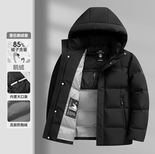 ���d�Z�q����2025�����r�к��s�ٴů���m�̿��������q������