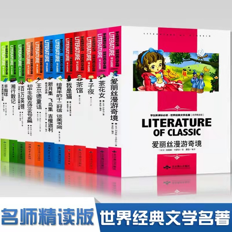 과외 독서에 필요한 107 종류의 책 Lu Bin Xun 표류 톰 모험 사랑 교육 어린 시절에 작은 영웅 비