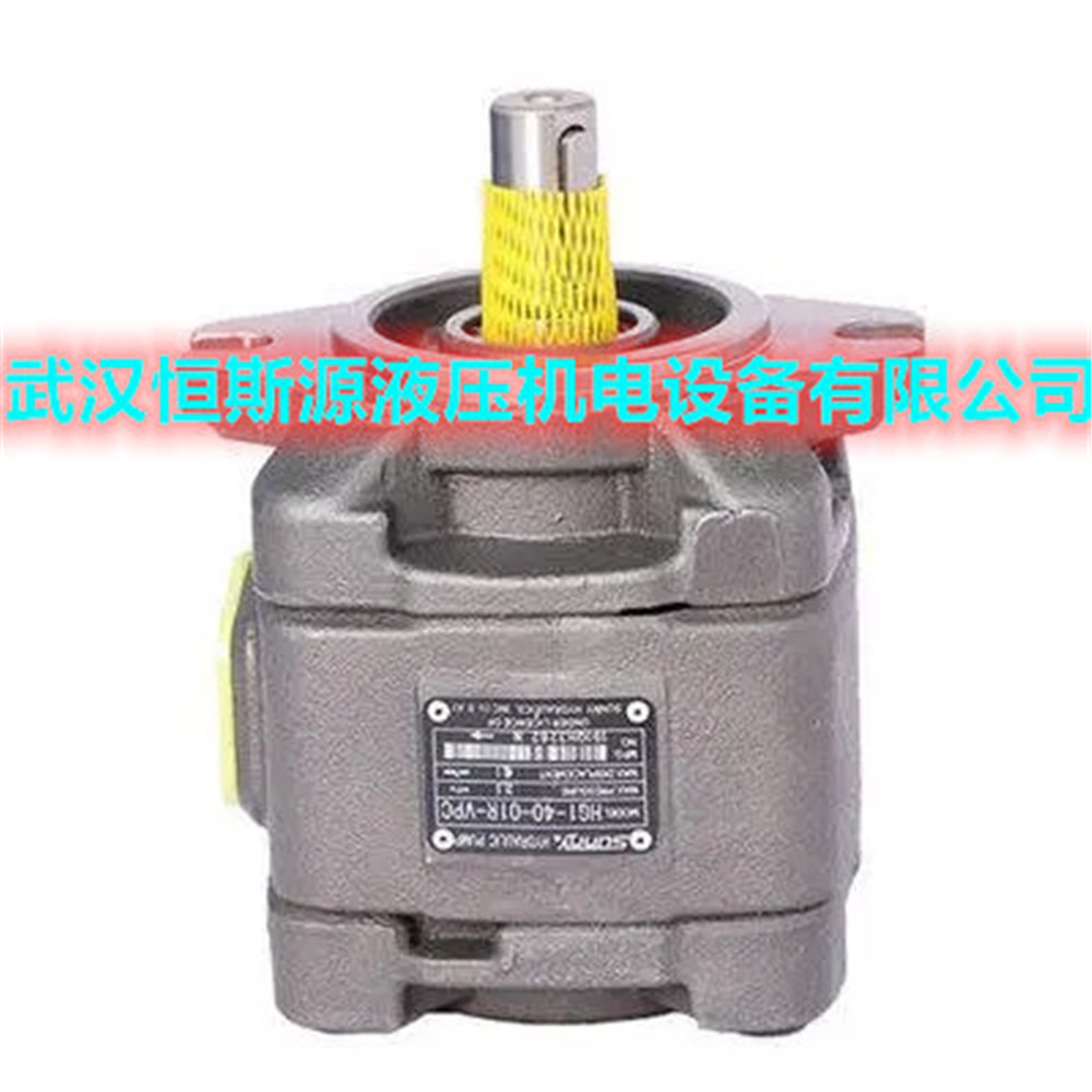 桑尼士齿轮泵HG10-50-125-01R-VSC