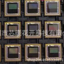 OV9665  OV9665-V26T  ��װCSP  ����Ԫ����  ���ɵ�·IC