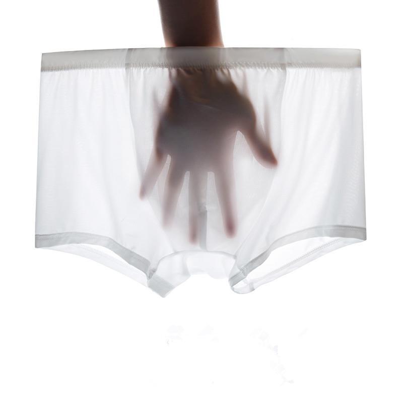 Foreign Trade Summer Men's Underwear Boxers Men's Trousers XX0250 Foreign Trade Summer Men's Underwear Boxers Men's Trousers XX0250