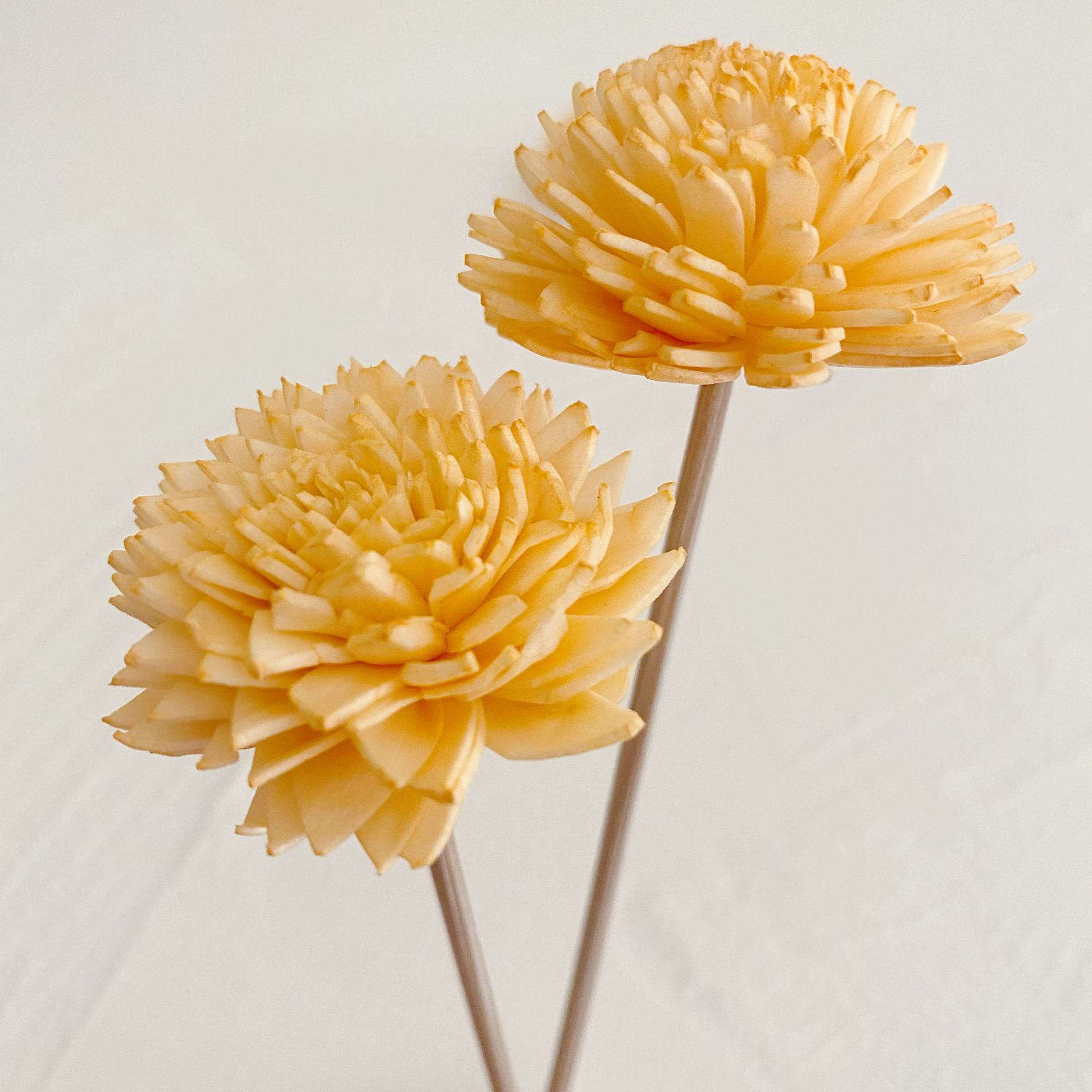 微信图片_20221231141601