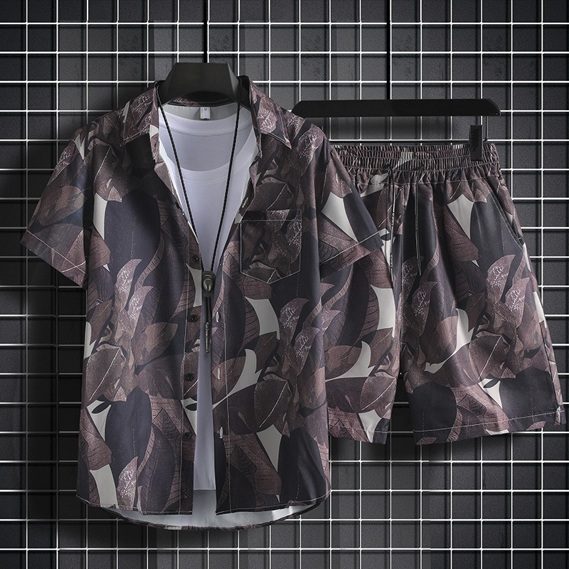 C104 다크 브라운-세트