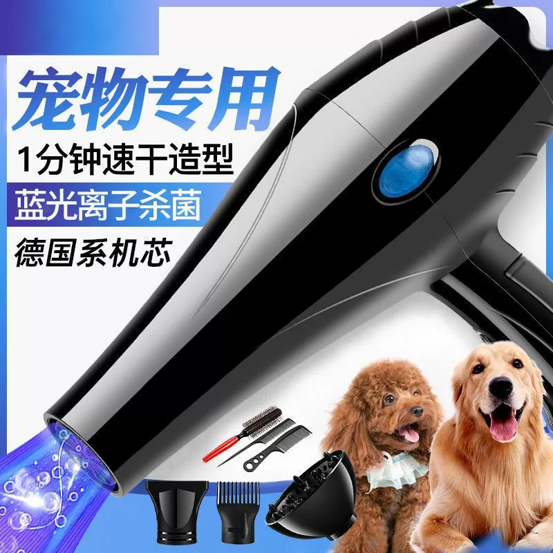 Фен для домашних животных, бесшумный фен с сильным ветром, фен для ухода за волосами с отрицательными ионами, производитель фенов для кошек