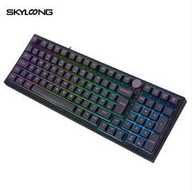Skyloong小呆虫GK980 RGB 光轴USB PBT双色闭口键帽机械键盘库存