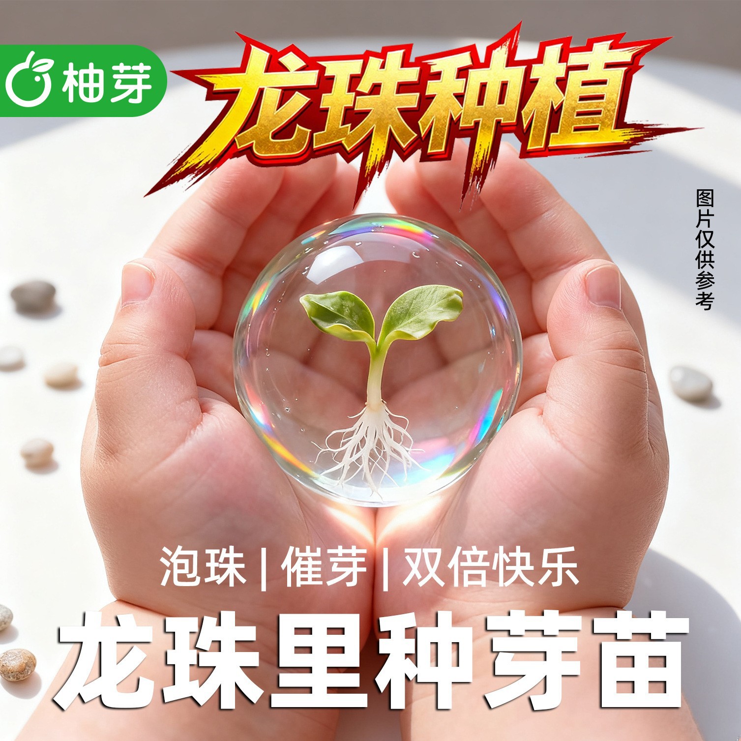 Dragon Ball-Themed Mini Potted Plants for Elementary School Students Diy, Small Gifts for Children, Fun Desktop Green Plants