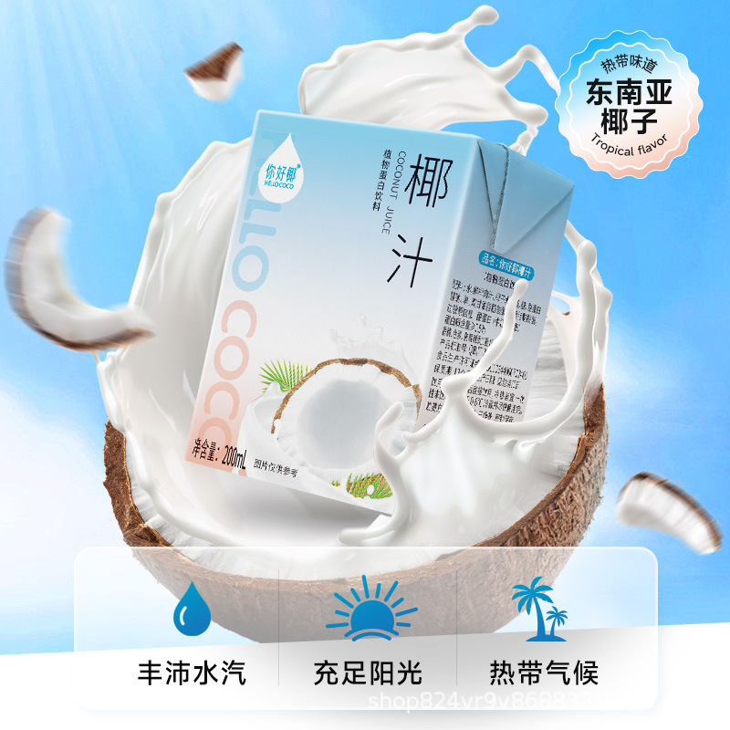 你好椰 椰子汁200ml*12瓶植物蛋白鲜榨冷灌椰奶学生早餐饮料整箱